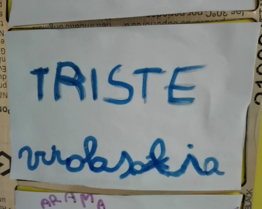 Al campo estivo si affronta il tema del litigio (fascia età 6/7 anni)