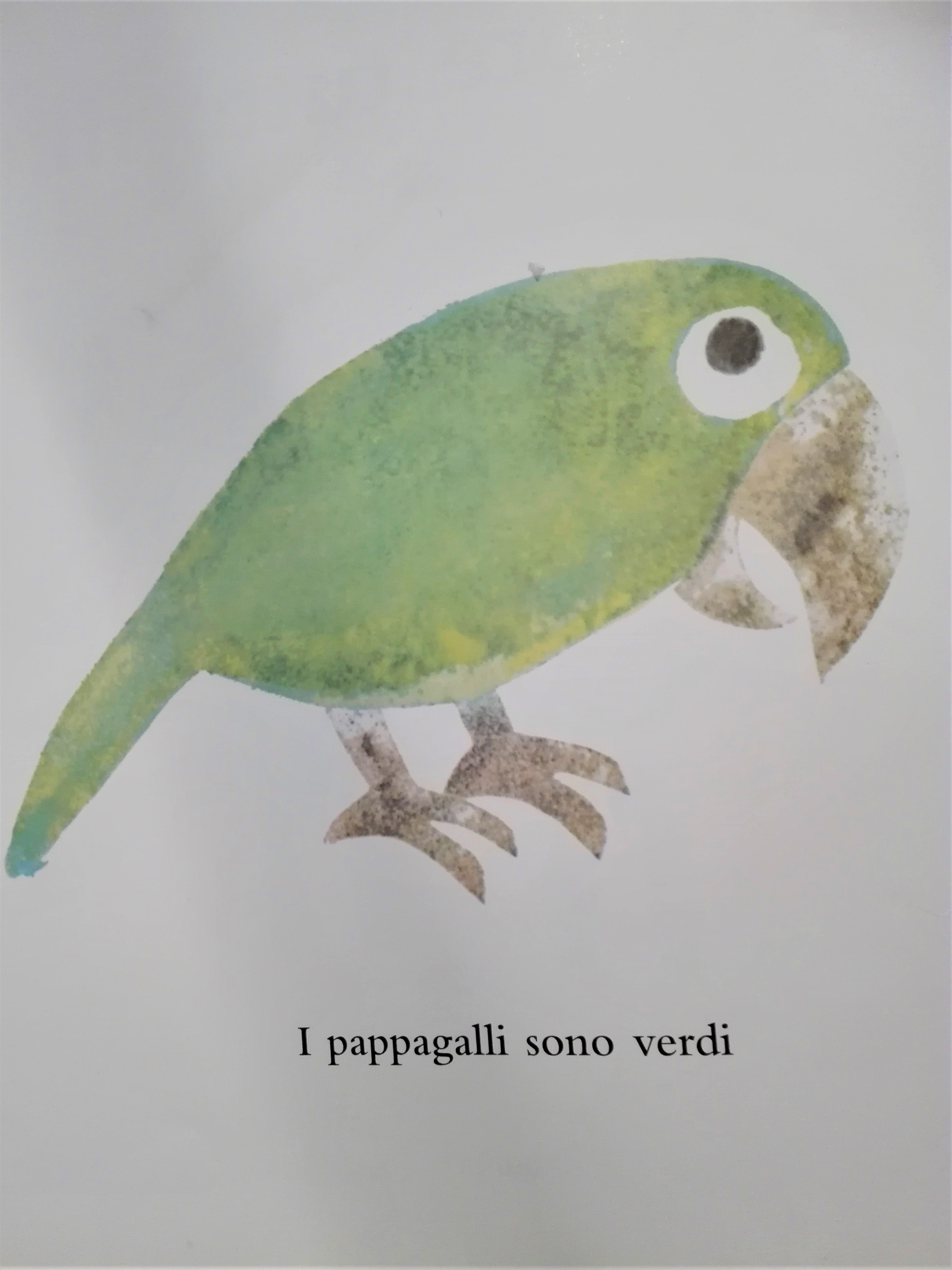 Tutti gli animali cambiano colore? O solo alcuni? Il gatto cambia colore?  🐱 E il bruco? 🐛 Il camaleonte 🦎, per esempio, ha un colore tutto suo,  come ci