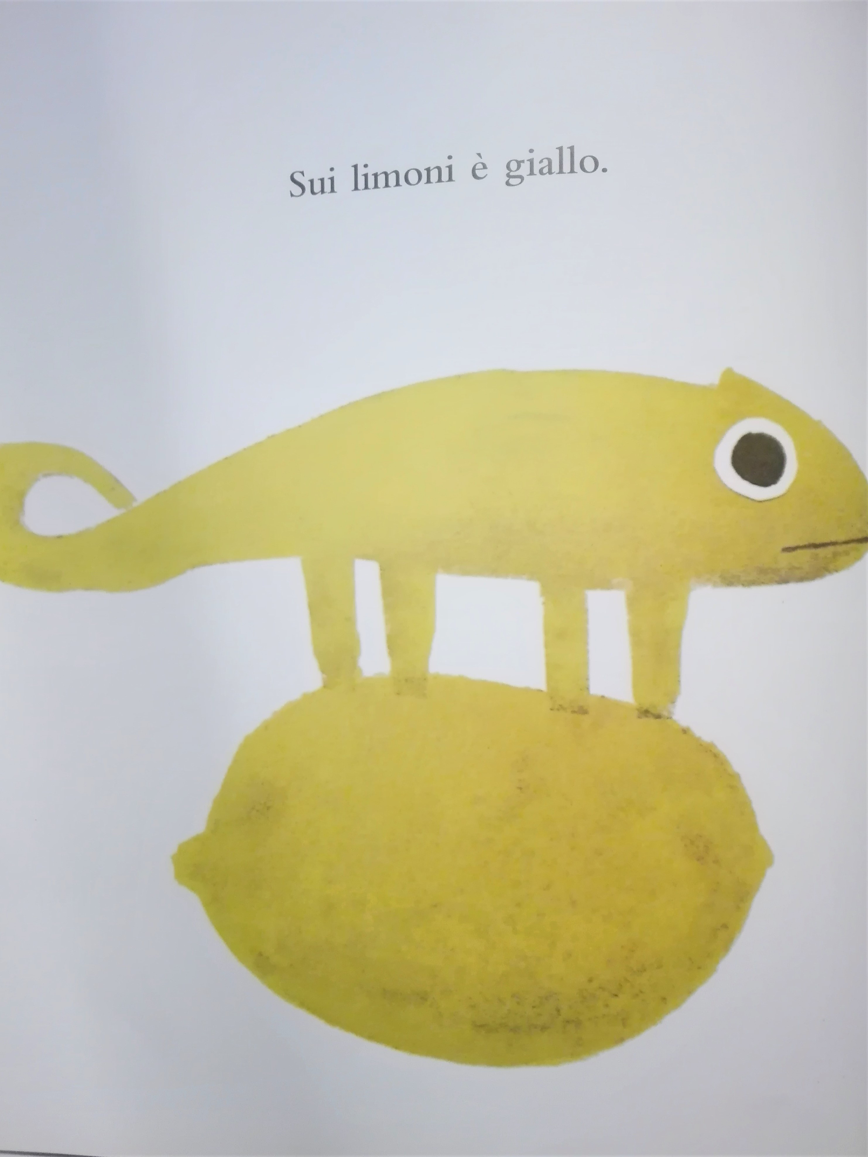 Un colore tutto mio” di Leo Lionni – Presentazione – La Biblioteca di  Daniela